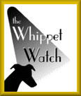Whippet Watch magazine